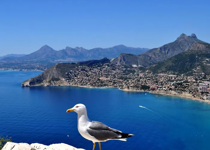 Villa Maryvilla 71 Calp